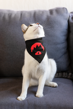 Load image into Gallery viewer, Rex Rides Pet Bandana