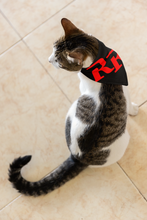 Load image into Gallery viewer, Rex Rides Pet Bandana