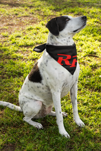 Load image into Gallery viewer, Rex Rides Pet Bandana